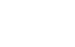 hyundai.png