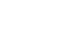 metso.png